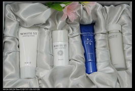 高絲化妝品 品質與美學的完美融合